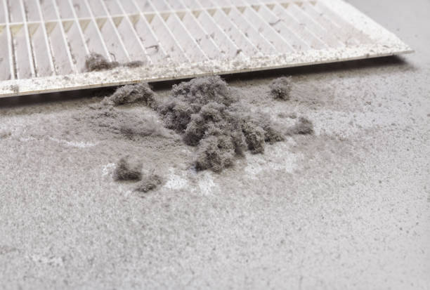 Best Residential Air Duct Cleaning  in Fords Prairie, WA